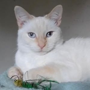 Meet your Posher, Kerry